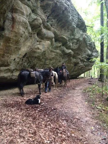 High Knob Equestrian Campground Picture 3