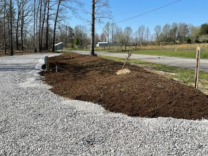 Camp Luna RV Park Picture 8