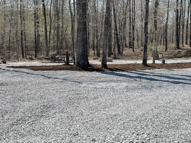 Camp Luna RV Park Picture 7