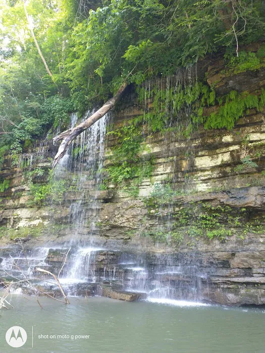 RAGLAND BOTTOM Picture 4
