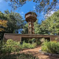 Edgar Evins State Park Campground ico
