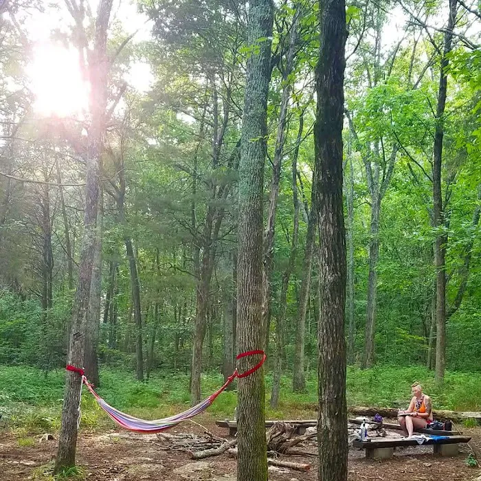 Campsite 2 Picture 4