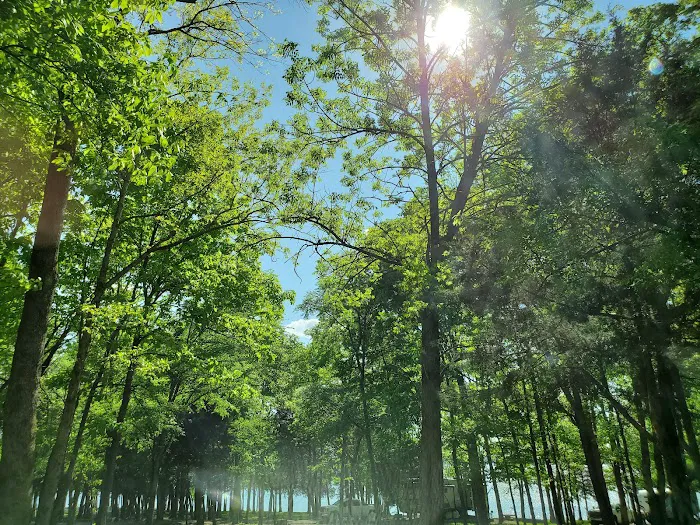 1810 Stewarts Ferry Pike Picture 1