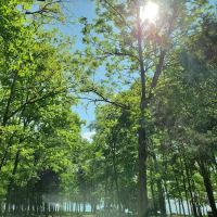 1810 Stewarts Ferry Pike ico