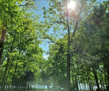 1810 Stewarts Ferry Pike