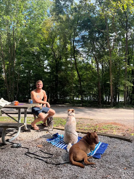 Poole Knobs Campground Picture 9