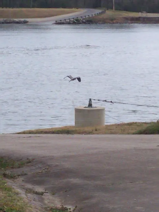 RV Park at Riverview, Ridley Rentals LLC Picture 3