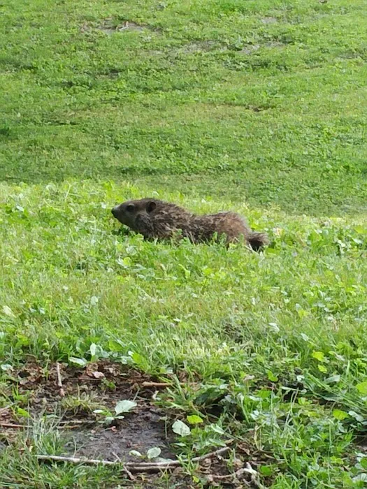 RV Park at Riverview, Ridley Rentals LLC Picture 2