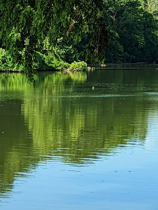 Harpeth River Bridge Campsite Picture 5