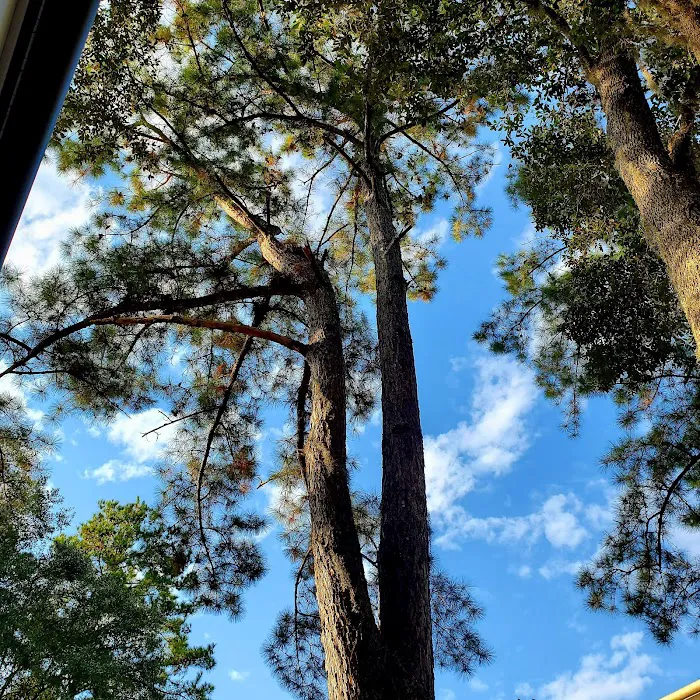 South Newport Campground Picture 3