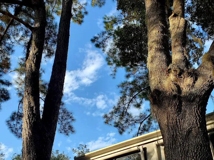 South Newport Campground Picture 1