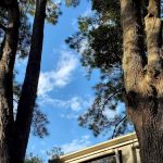 South Newport Campground