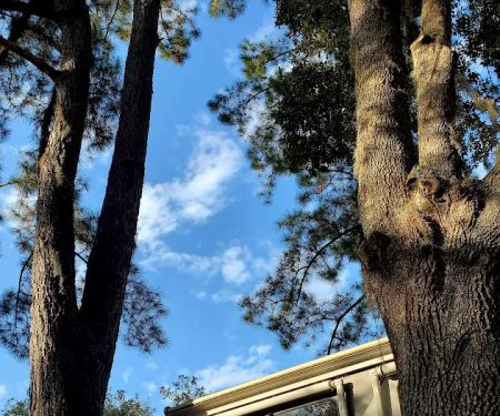 South Newport Campground