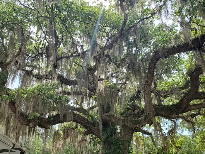 South Newport Campground Picture 7