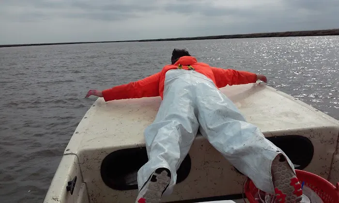 Belle Bluff Island Campground and Marina Picture 9