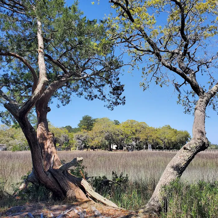 Belle Bluff Island Campground and Marina Picture 7