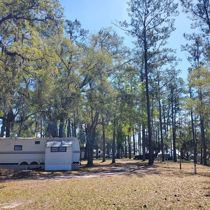 Belle Bluff Island Campground and Marina Picture 10