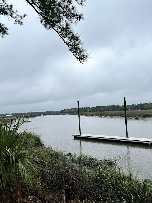 Belle Bluff Island Campground and Marina Picture 4