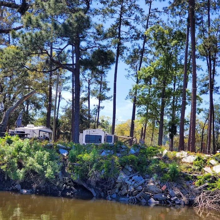 Belle Bluff Island Campground and Marina Picture 5