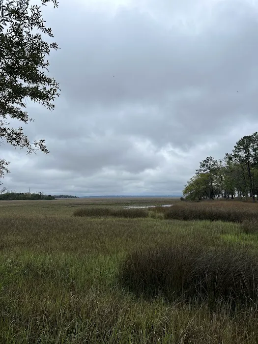 Belle Bluff Island Campground and Marina Picture 3