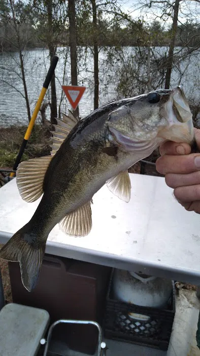 Morgan Lake Hunting & Fishing Picture 5