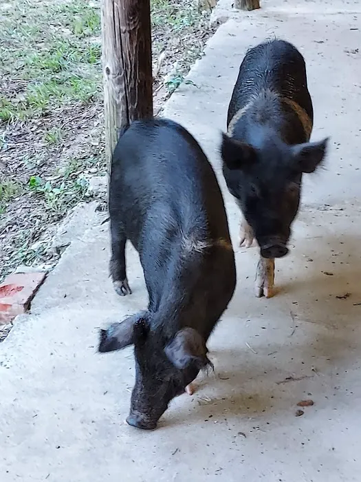 Morgan Lake Hunting & Fishing Picture 6