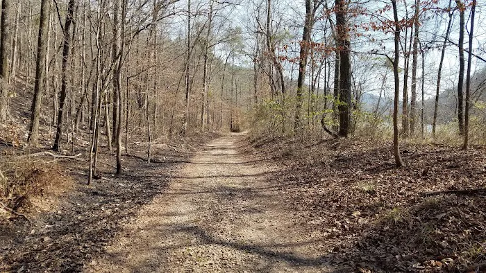 Lawhorn Scouting Base Picture 8