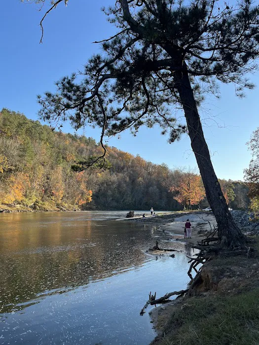 River Ridge Campground Picture 7