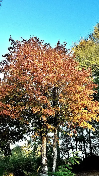 Flint River Outdoor Center Picture 9