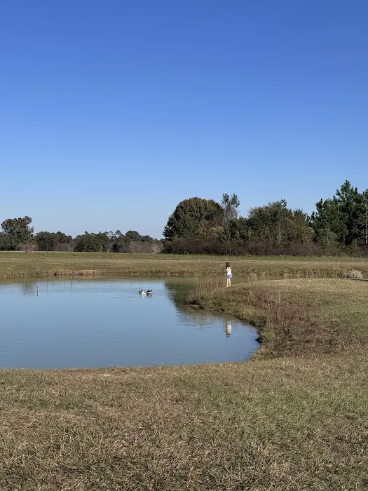 Southern Trails RV Resort Picture 7