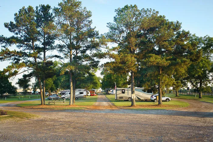 Southern Trails RV Resort Picture 8