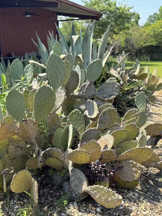 Oz Campground Picture 7