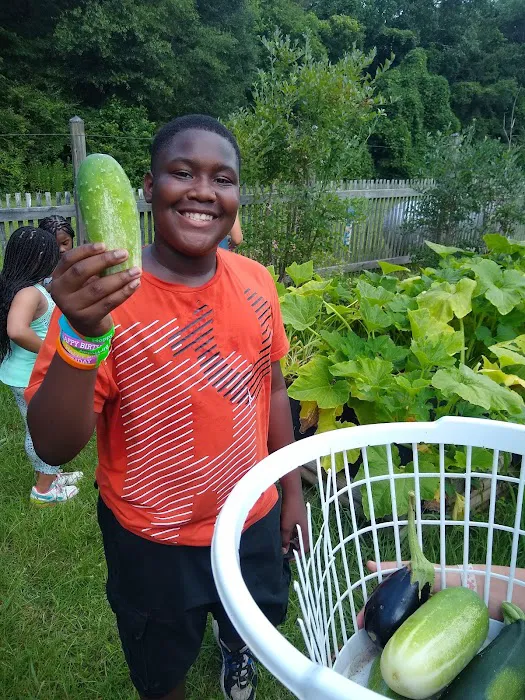 God's Farm Picture 7