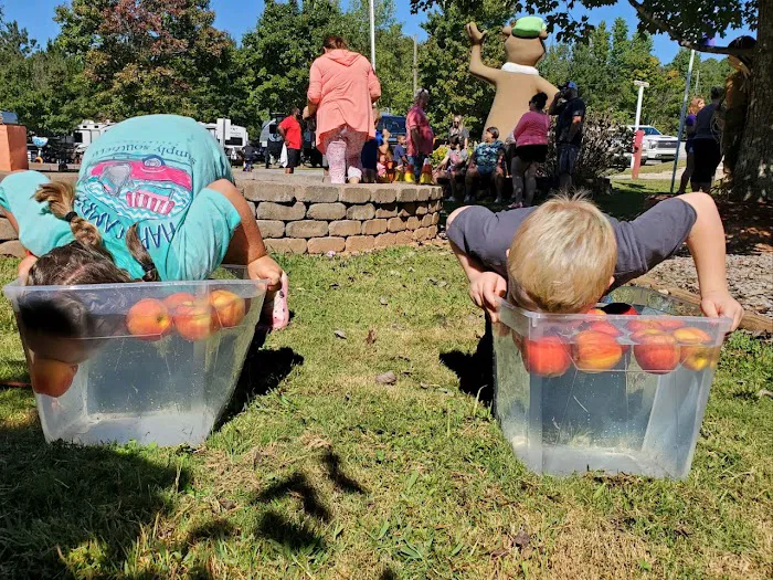 Yogi Bear's Jellystone Park West Georgia Picture 1