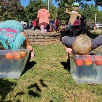 Yogi Bear's Jellystone Park West Georgia ico