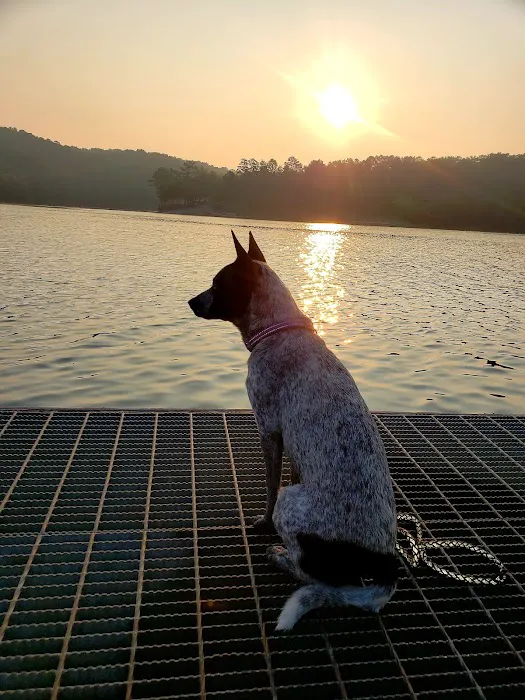 Doll Mountain Campground Picture 9