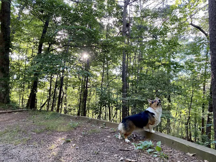 Doll Mountain Campground Picture 6