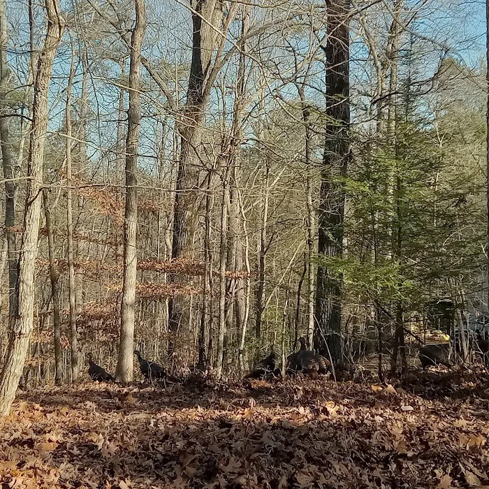 Woodring Campground Carters Lake Picture 6