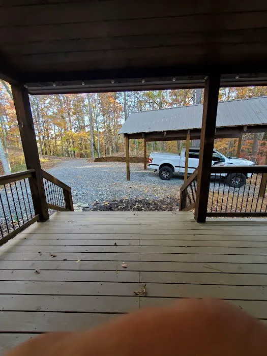 Hollow Tree Hideaway Picture 4