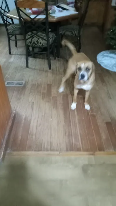 Hollow Tree Hideaway Picture 7