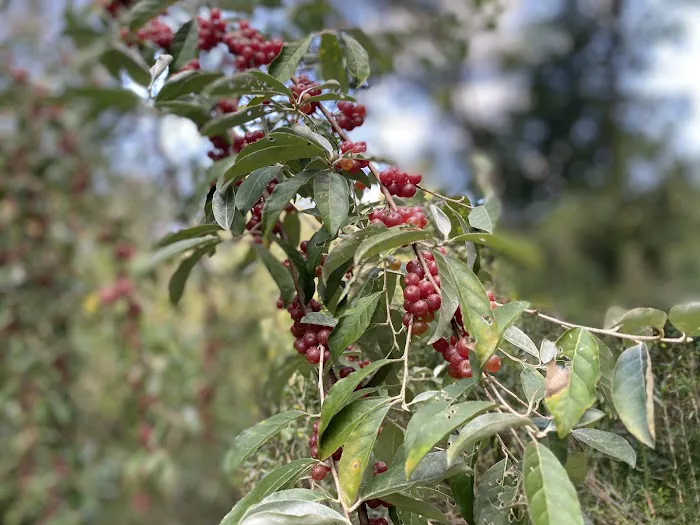 Fish Trap Park Picture 7