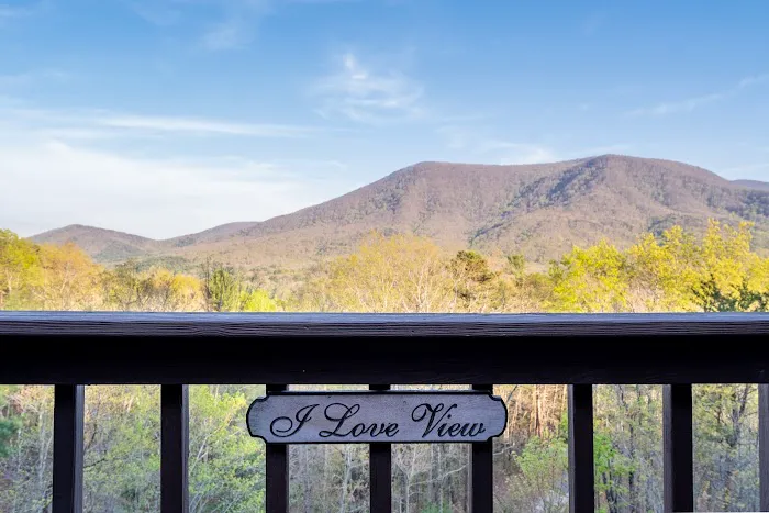 ILoveView-CabinRental Picture 5