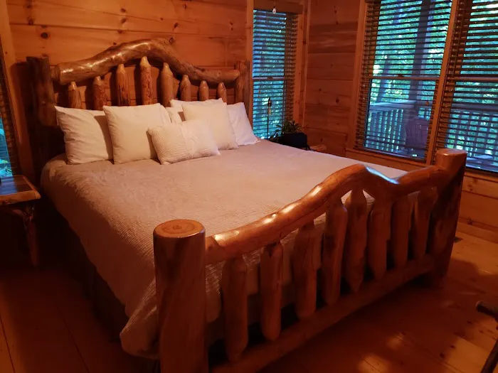 Birds Eye View Cabin Picture 4