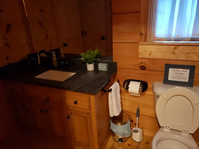 Birds Eye View Cabin Picture 9