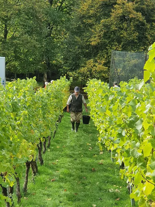 Simpler Times at Lake Buckhorn Picture 2