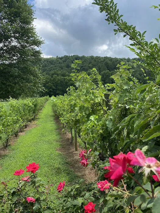 Simpler Times at Lake Buckhorn Picture 5