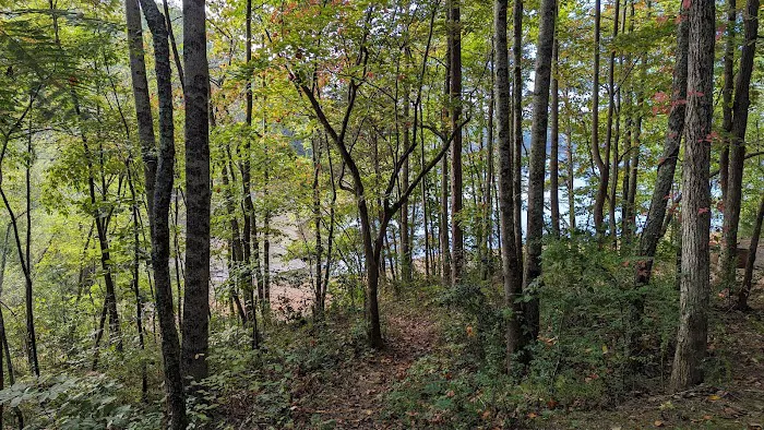 Campsite #34 Picture 2