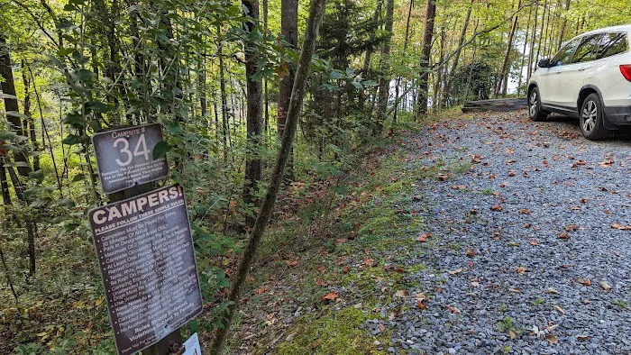 Campsite #34 Picture 4