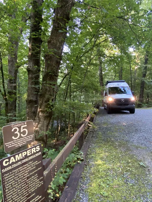 Campsite #35 Picture 4