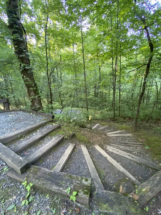 Campsite #35 Picture 1